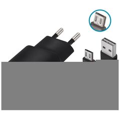 Forever TC-01 charger 1x USB 2A black + microUSB cable 5900495623294