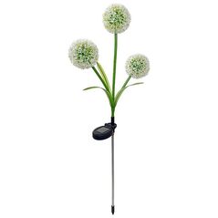 SUNARI Solar Lamp LED FLS-95 Garlic flower 3000K 600mAh Li-Ion Forever Light 5907457717480