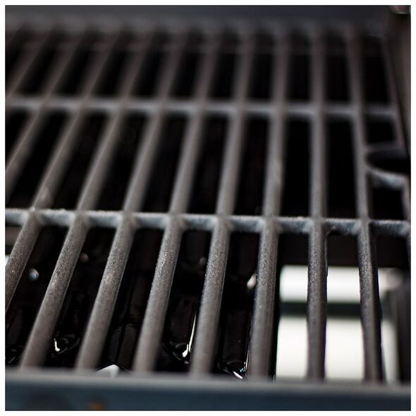 Bormann Elite Bbq2000 Bormann Elite Bbq2000 Ψησταριά Υγραερίου Element 2 Εστιών 015390 έως 12 Άτοκες Δόσεις