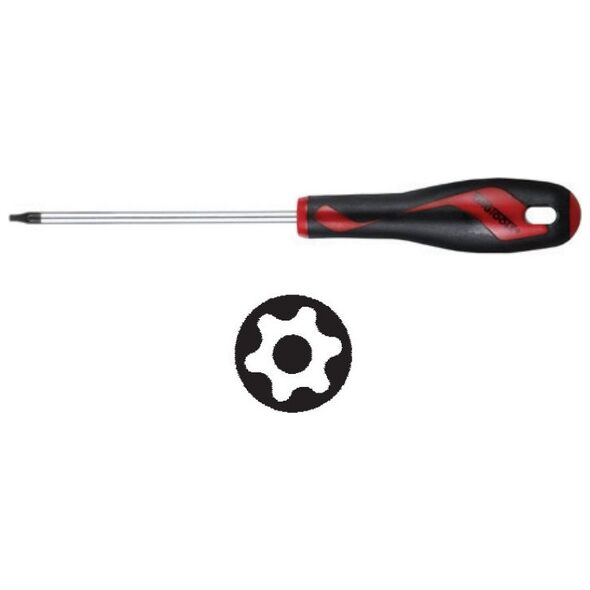 Teng Tools Wkrętak typu TPX z otworem T20 x 100mm (177800307)