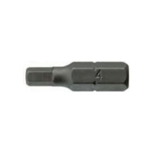 Teng Tools Grot imbusowy H6 25mm (10610-0506)