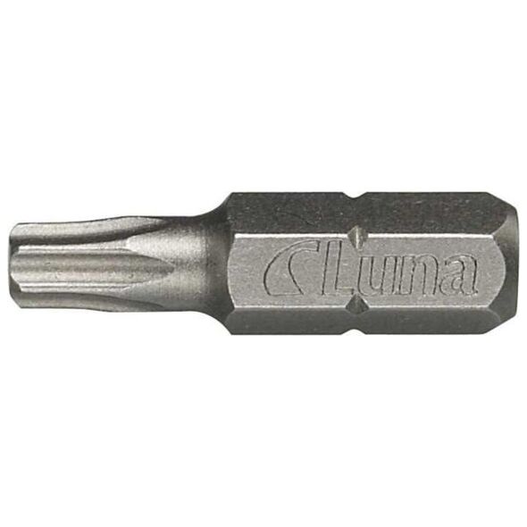 Luna Groty Torx TX25 10 szt. Luna