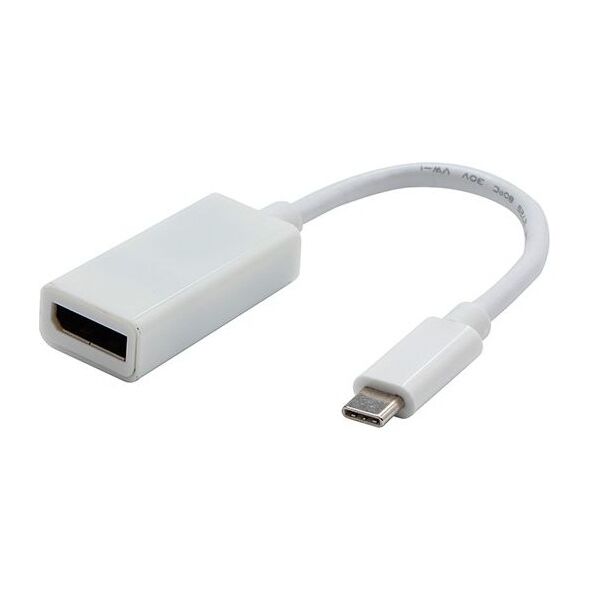 Adapter USB USB-C - DisplayPort Biały