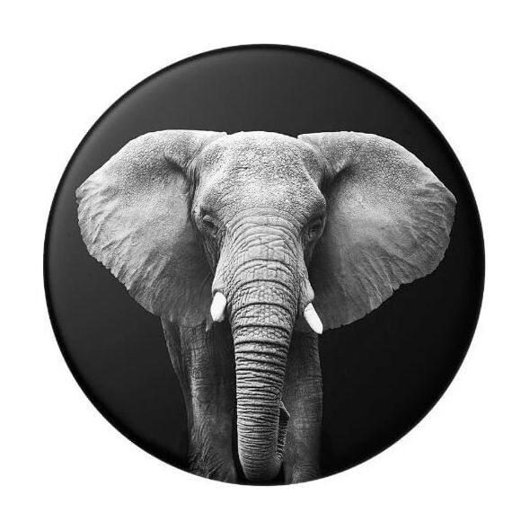 PopSockets POPSOCKETS Loxodonta Africana (gen2) standard