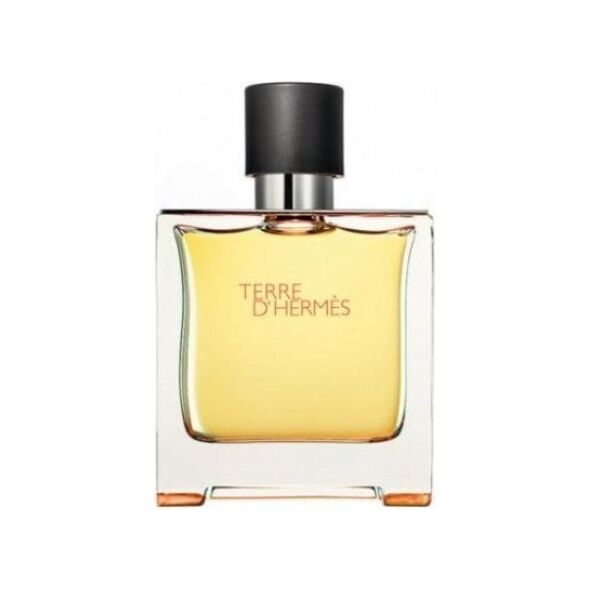 Hermes Terre d'Hermes EDP 200 ml