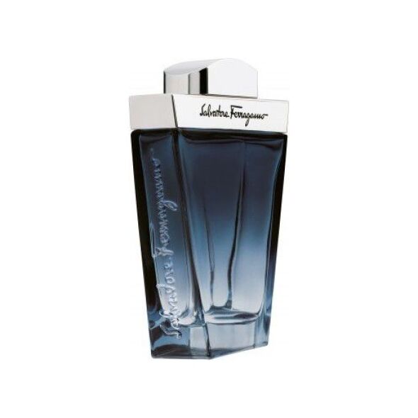 Salvatore Ferragamo Subtil EDT 100 ml