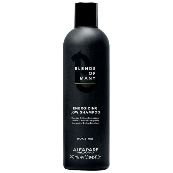 Alfaparf Blends Of Many 250ml