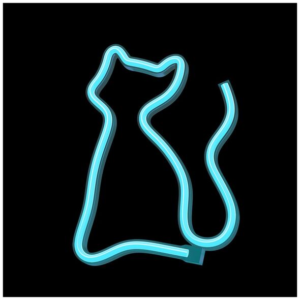 Neon LED Light CAT turquoise NNE24 Neolia 5907457773479