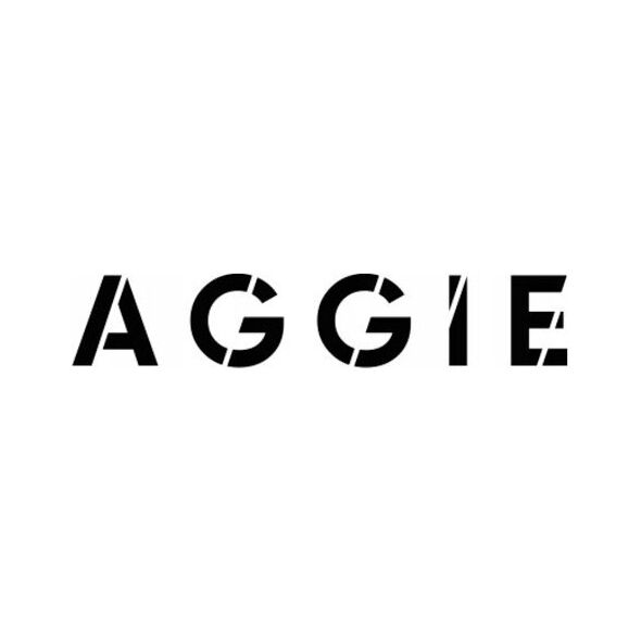 AGGIE_Bronzer w sztyfcie 8,5g