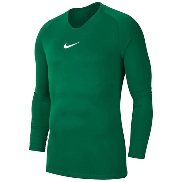 Nike Koszulka chłopięca Y Nk Dry Park 1 Styr Jsy Ls zielona r. S (AV2611 302)