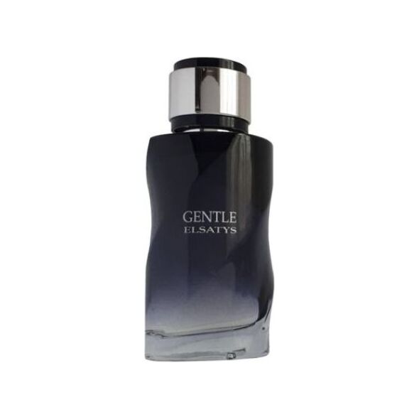Reyane Tradition Gentle Elsatys EDP 100 ml