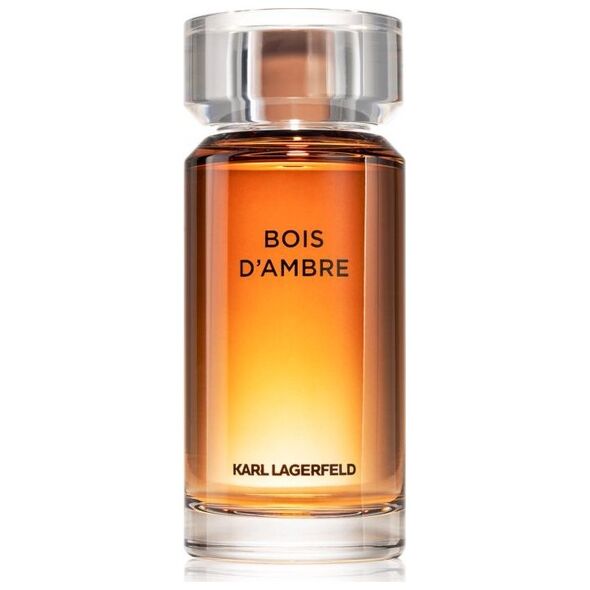 Karl Lagerfeld Bois d'Ambre EDT 100 ml