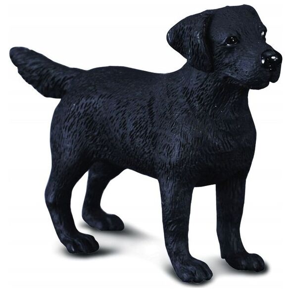 Figurka Collecta PIES LABRADOR (M)