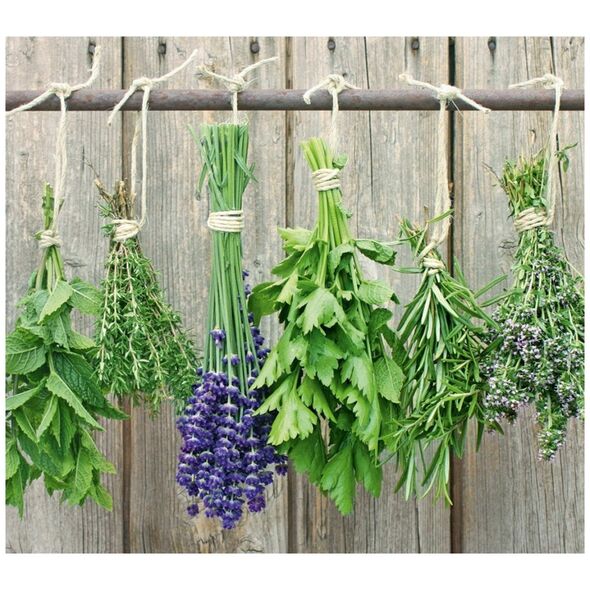 Zeller LAVENDER προστατευτική πλάκα για τη σόμπα – μεγάλη, ZELLER 13429088 4003368263014