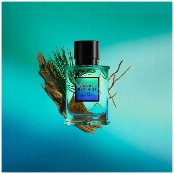 Alkotest DAVID BECKHAM True Instinct EDP spray 75ml