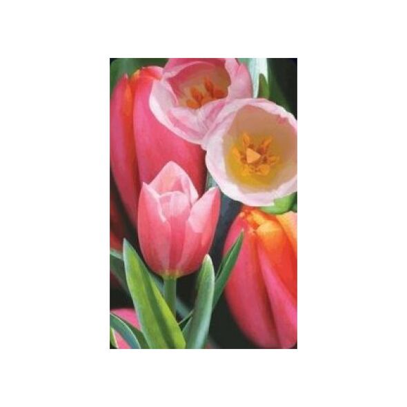 Worth-Keeping Mini kartka 3D Tulipan (180178)