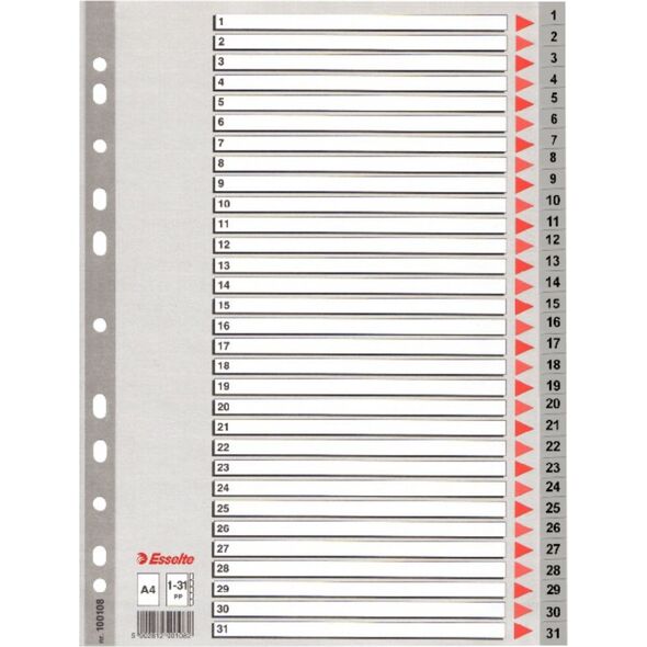 Esselte 1-31 SZARE PP - 100108 486273 5902812001082