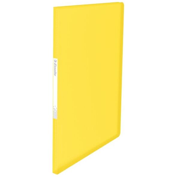 Esselte Album ofertowy Vivida A4, 20 koszulek (10K095M) 651853 4049793028170