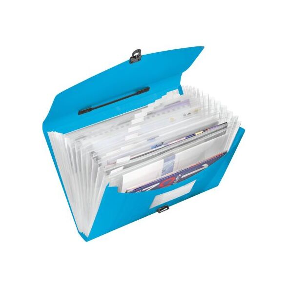 Esselte Teczka z przegródkami i rączką A4 Vivida (10K053C) 651949 4049793028446