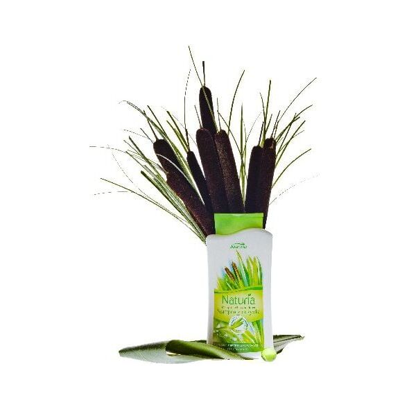 Joanna Naturia Szampon do włosów tatarak 2w1 500 ml 890309 5901018007973
