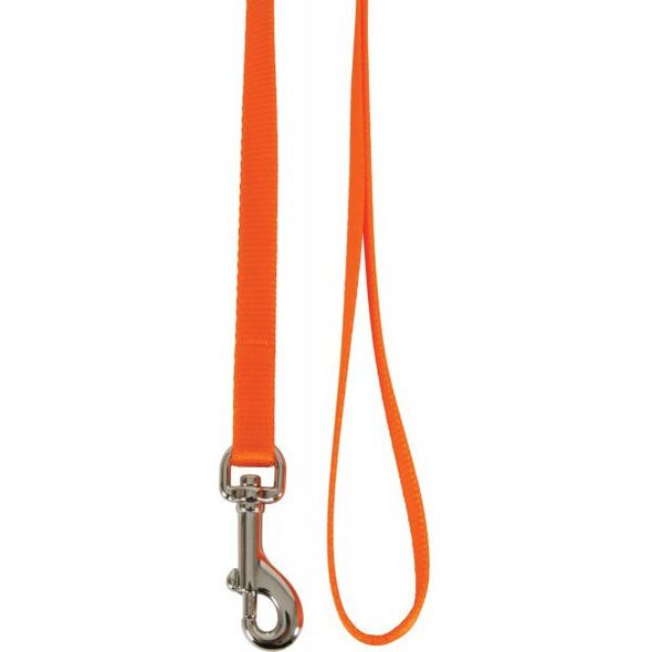 Zolux Smycz dla kota nylon 1 m/10 mm pomarańczowy 1104028 3336029461308