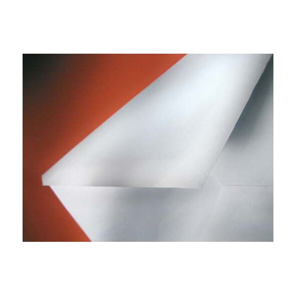 NC Koperty KOPERTA B-5 BIAŁA NK 500SZ.NC (31510020) 1471440 5905379003001