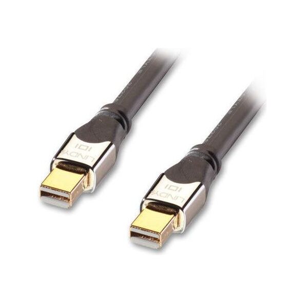 Kabel Lindy DisplayPort Mini - DisplayPort Mini 2m srebrny (41542) 1487838 4002888415422