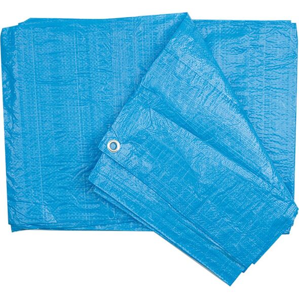Plandeka Vorel 500 cm  x 800 cm 90 g/m2 3003438 5906083850608