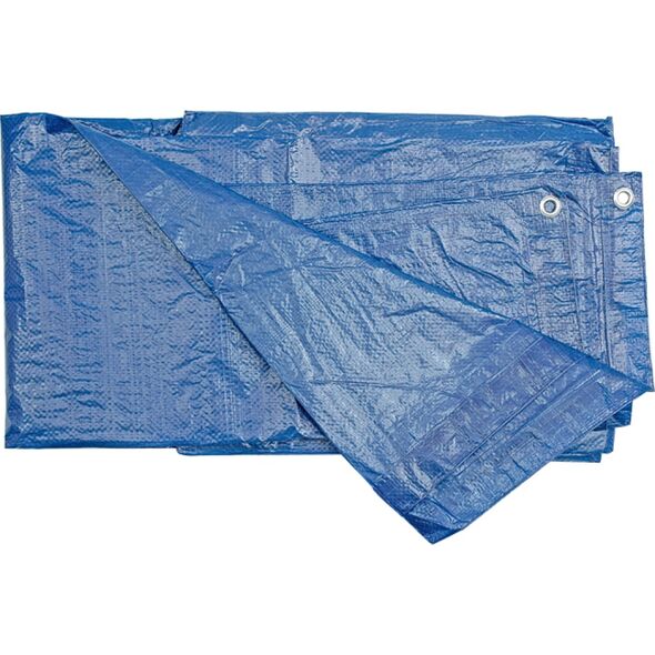 Plandeka Vorel 500 cm  x 800 cm 75 g/m2 3162320 5906083851162
