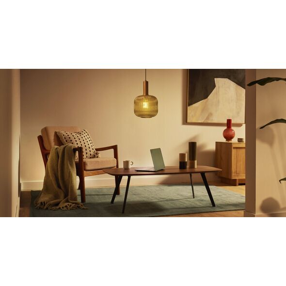 Philips Philips Żarówka z widocznym żarnikiem 60 W E27