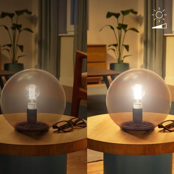 Philips Philips Żarówka z widocznym żarnikiem 60 W E27