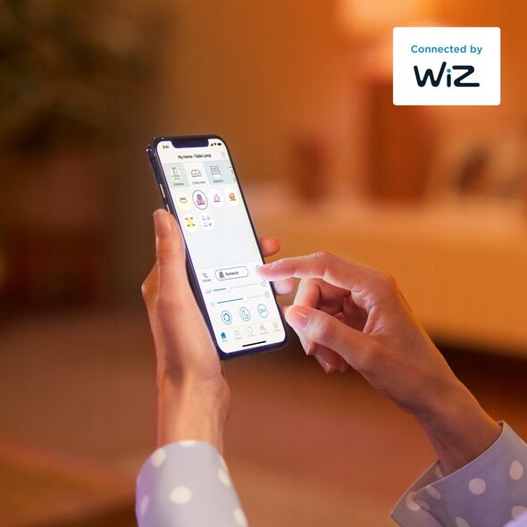 Philips Philips Żarówka z widocznym żarnikiem 60 W E27