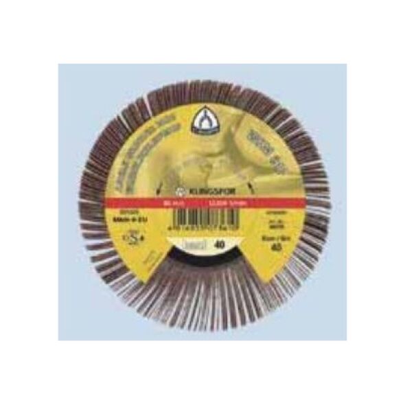 Klingspor Ściernica listkowa nasadzana WSM 617 125mm granulacja 60 (277019) 3292553 4014855104666