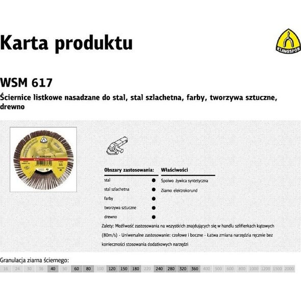 Klingspor Ściernica Listkowa Nasadzana 125mm WSM615 gr.240 (K254430) 3335941 4014855120222