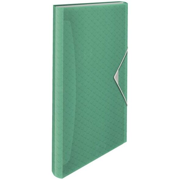 Esselte TECZKA Z PRZEGRÓDKAMI COLOUR`ICE ZIELONA 4936525 4049793053073