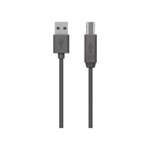 Kabel USB Belkin USB-A - USB-B 1.8 m Czarny (F3U154BT1.8M) 5522482 745883713387