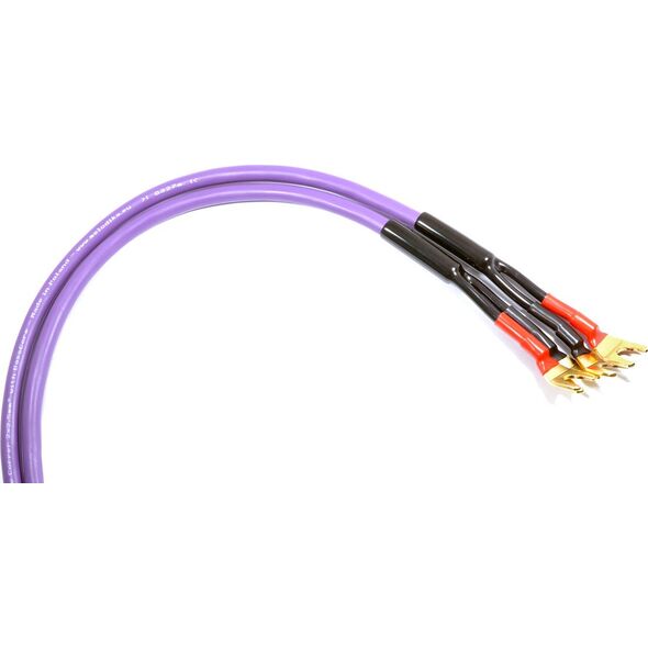 Kabel Melodika Widły - Widły 3.5m fioletowy 6030699 5907609004529