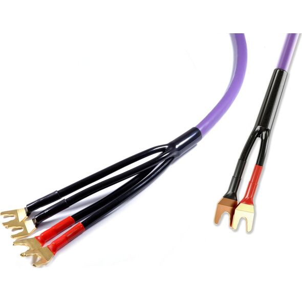Kabel Melodika Widły - Widły 2.5m fioletowy 6030732 5907609005182