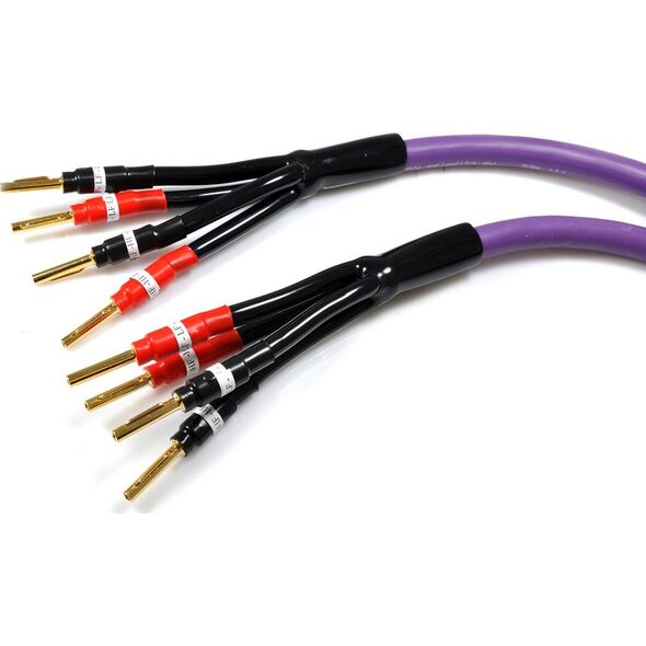 Kabel Melodika Banan x4 - Banan x4 5m fioletowy 6030762 5907609003225