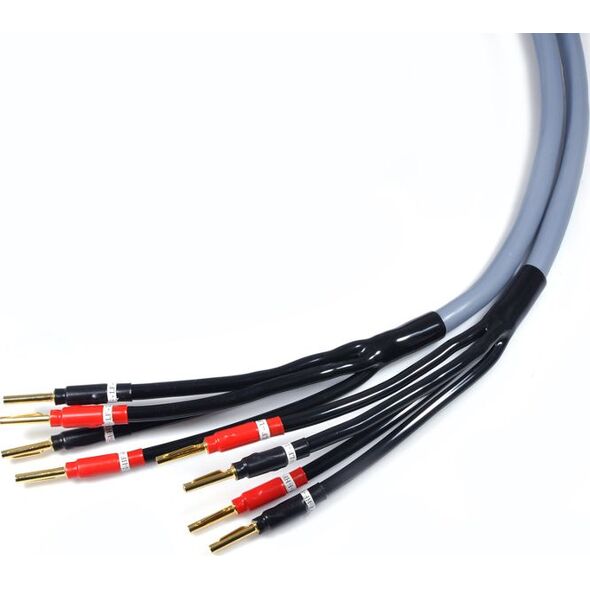 Kabel Melodika Banan x4 - Banan x4 4m szary 6030765 5907609000477