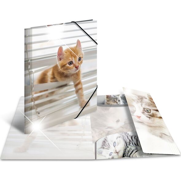 Herma Teczka A4 Glossy Katze 6415568 4008705193283