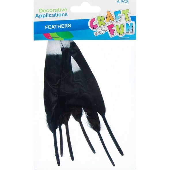 Craft with Fun CF OZDOBA DEK PIORKA 10-15CM 6SZT CZAR/SR 20/600 7615602 5908275110323