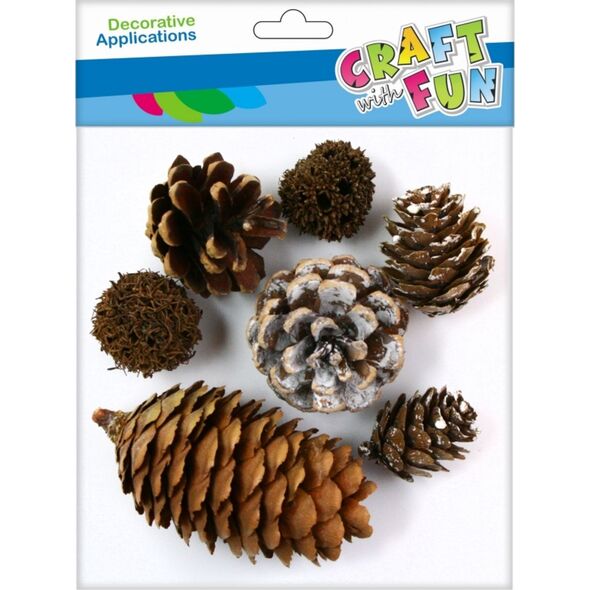 Craft with Fun CF OZDOBA DEK NATURA SZYSZKA 7SZT MIX PBH 12/288 7615627 5908275112266