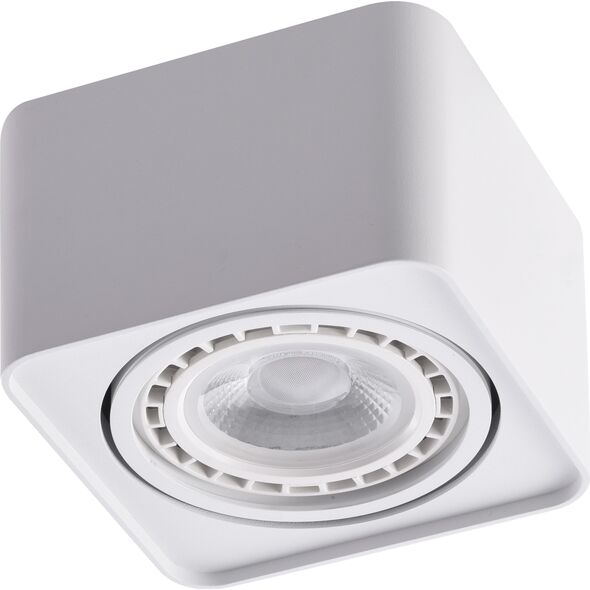 Lampa sufitowa Azzardo Do holu oprawa natynkowa LED Ready minimalistyczna AZzardo PAOLA AZ4128 9533636 5901238441281