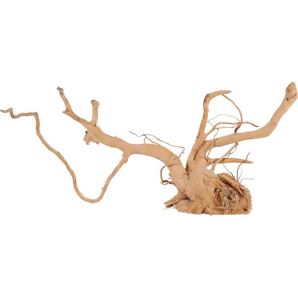 Zolux Korzeń japoński Spider Wood 50-60 cm 9598244 3336023560533