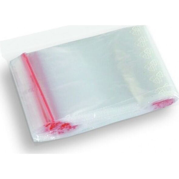 Dalpo Torebki strunowe 250*300 (100 szt.) B3-SW-0130 10085950 5903936003877