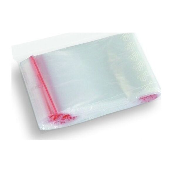 Torebki strunowe 100x120 (100 szt.) B3-SW-0065 10085951 5903936003808