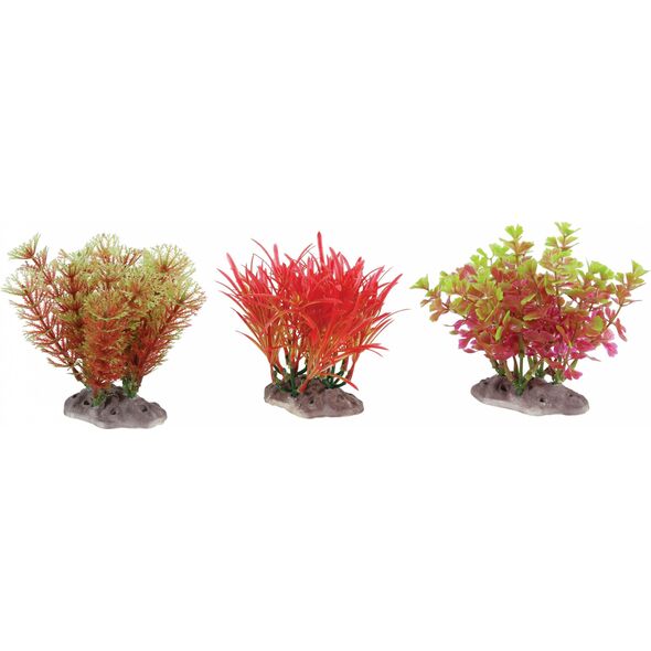 Zolux ZOLUX Display roślin S 6 szt. - zestaw A 10104457 3336023521251