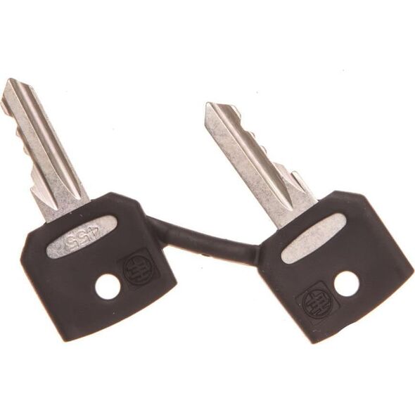 Schneider Electric Klucz zapasowy 2szt. NR455 ZBG455 10398145 3389110091847