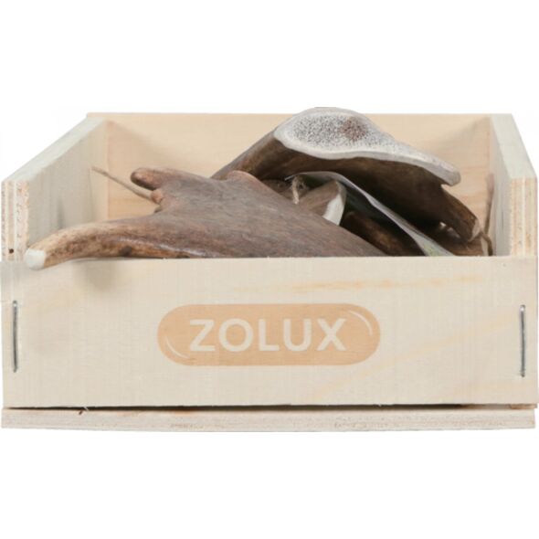 Zolux ZOLUX Poroże daniela EASY L 13110175 3336024823293
